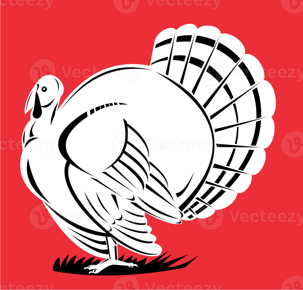 Turkey Retro Isolated png