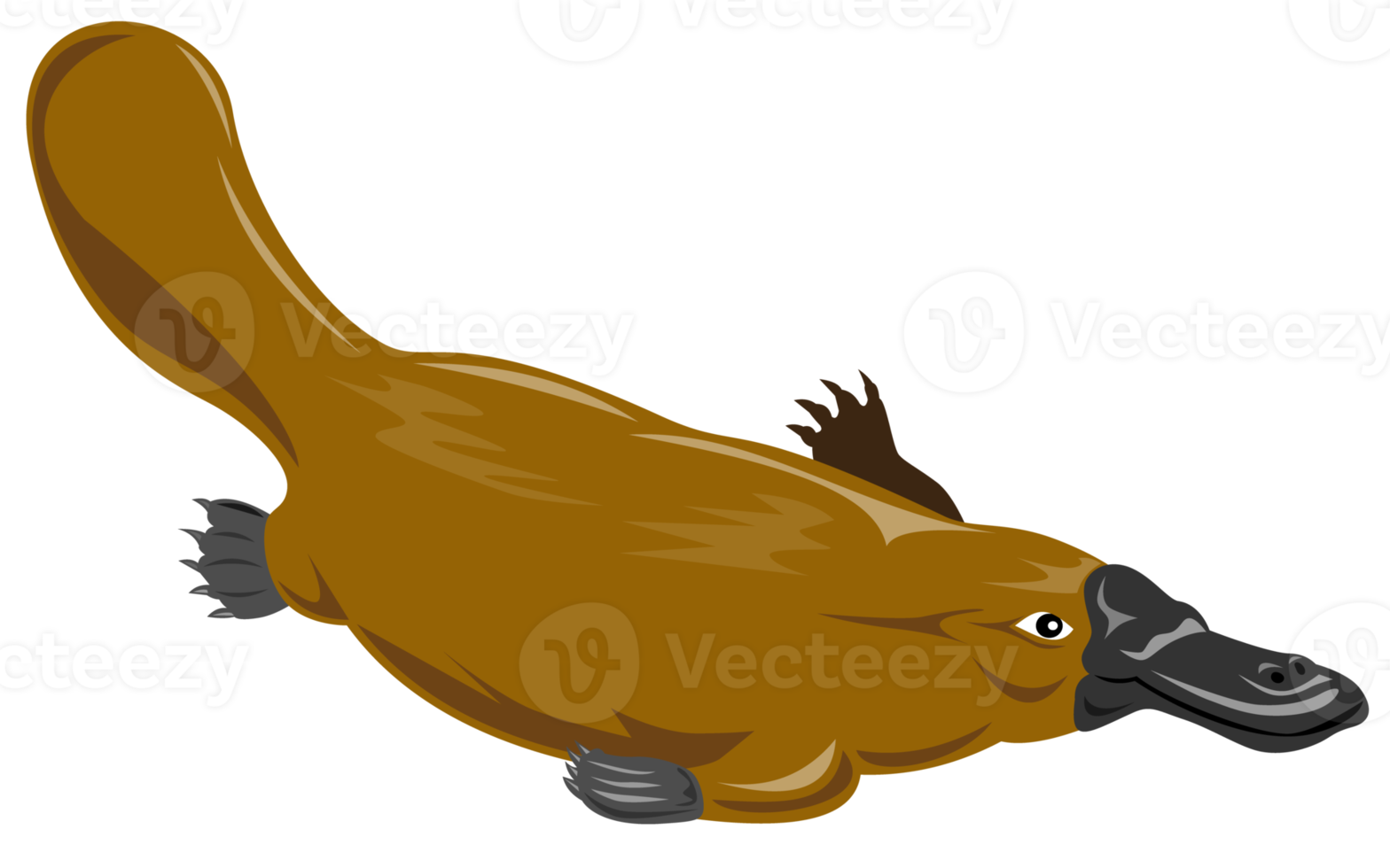Platypus Diving Isolated png