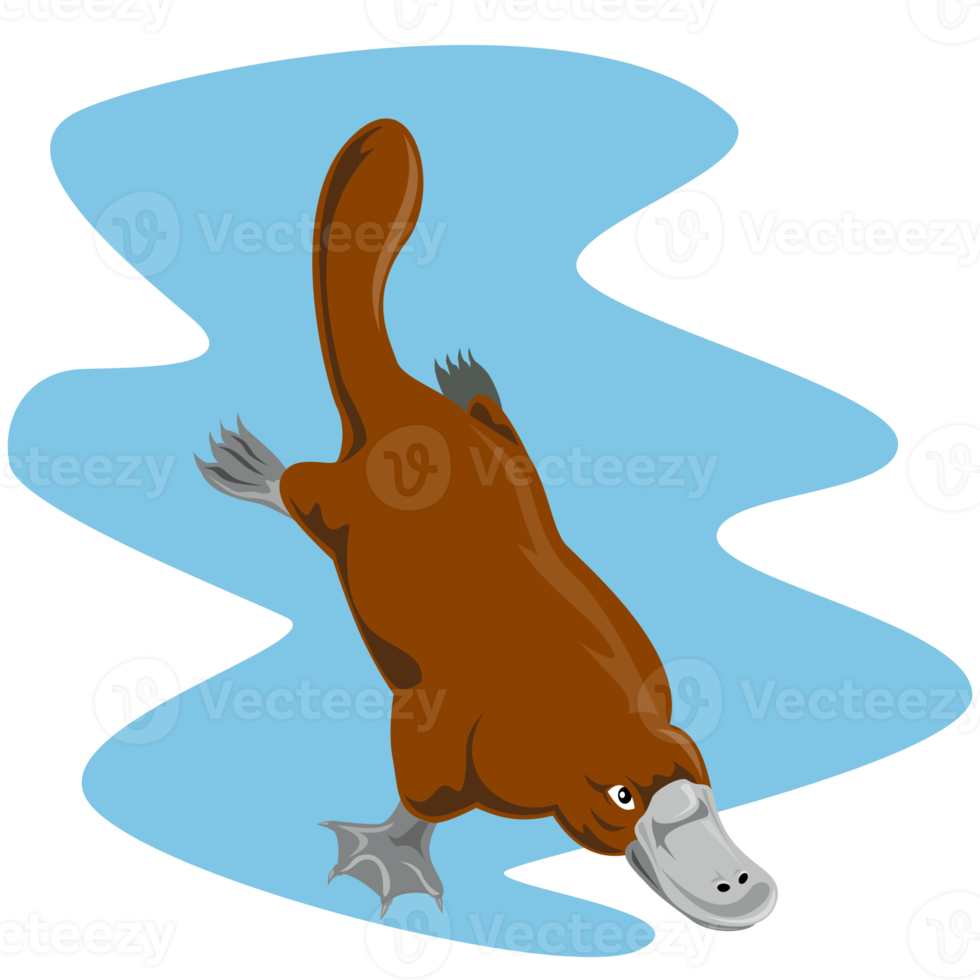 Platypus Diving Isolated png