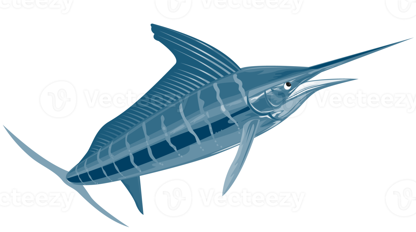 Sailfish Jumping Isolated png