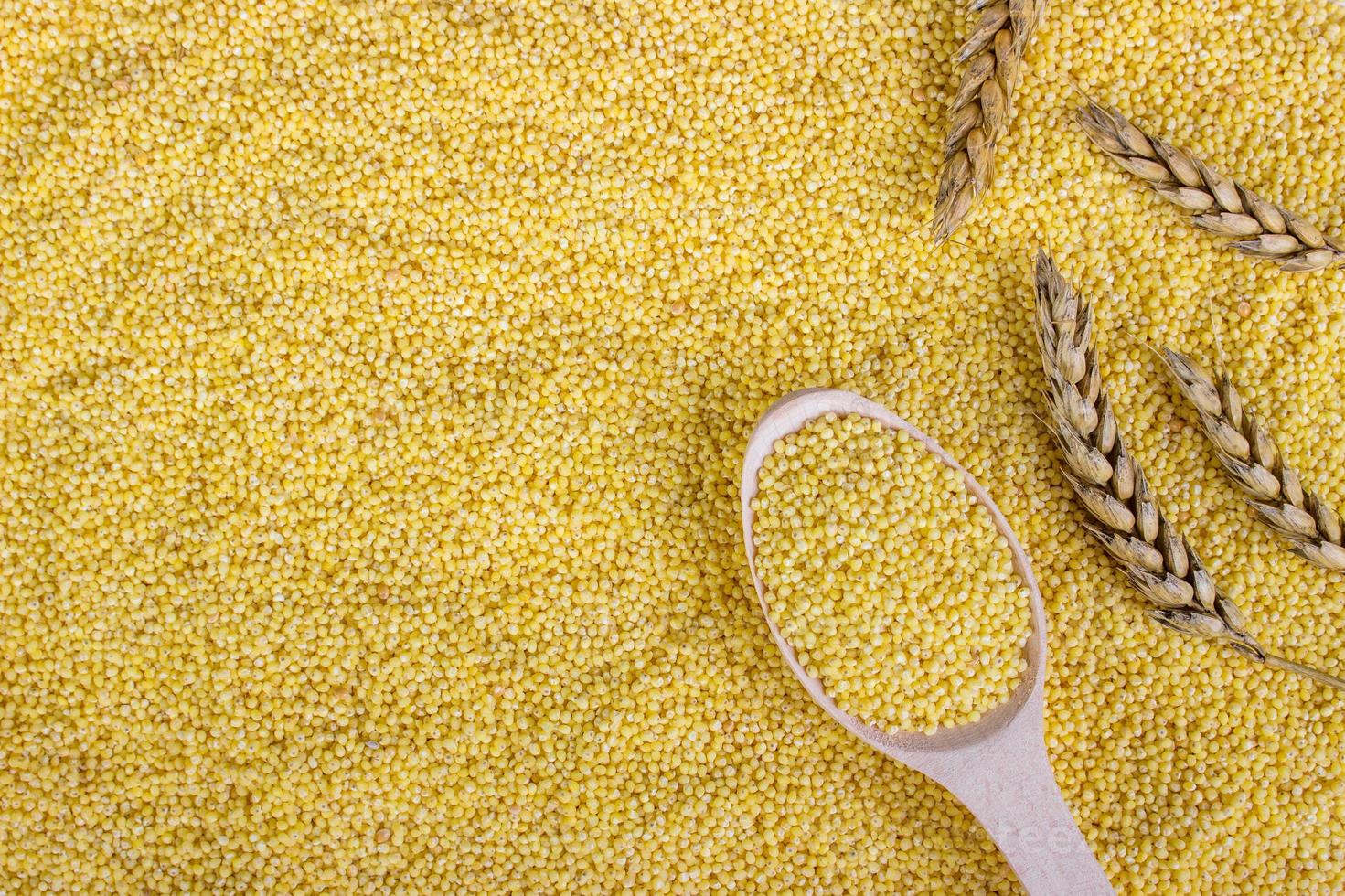 Raw organic millet in a wooden spoon on spoon background, concept for healthy eating, selective focus photo