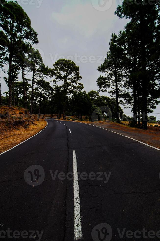 Scenic road view photo