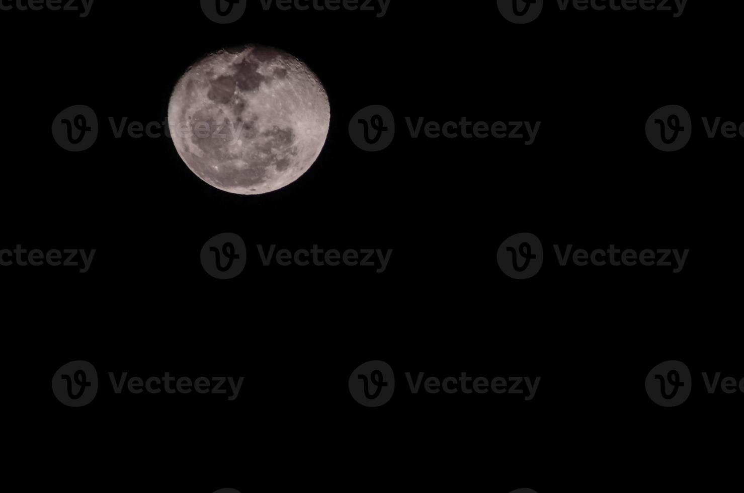 Moon close-up view photo