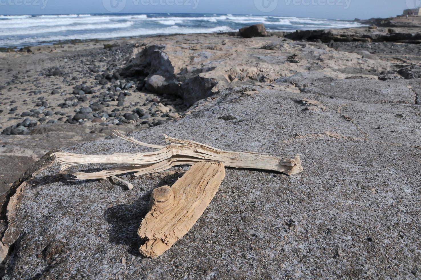 pedazos de madera en la playa foto