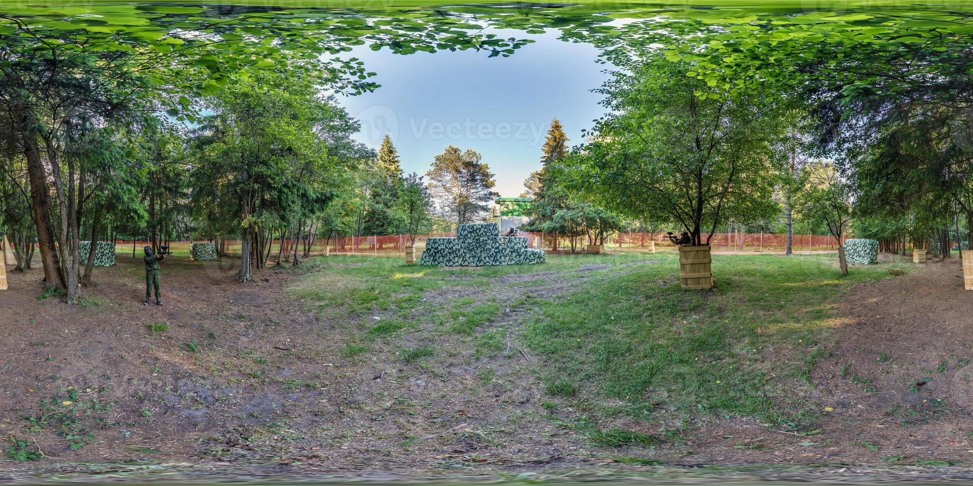 panorama completo esférico hdri 360 en bosque de pinares en proyección equirectangular. contenido vr ar foto