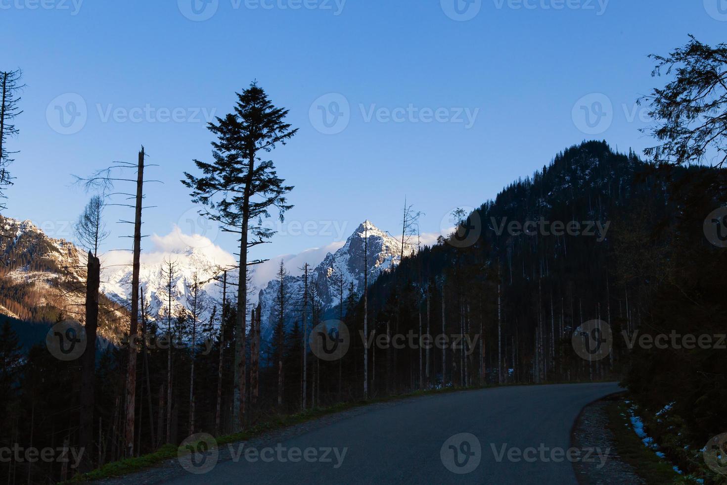 On the way to the sea eye in Poland. The road to the forest. High Tatras. photo