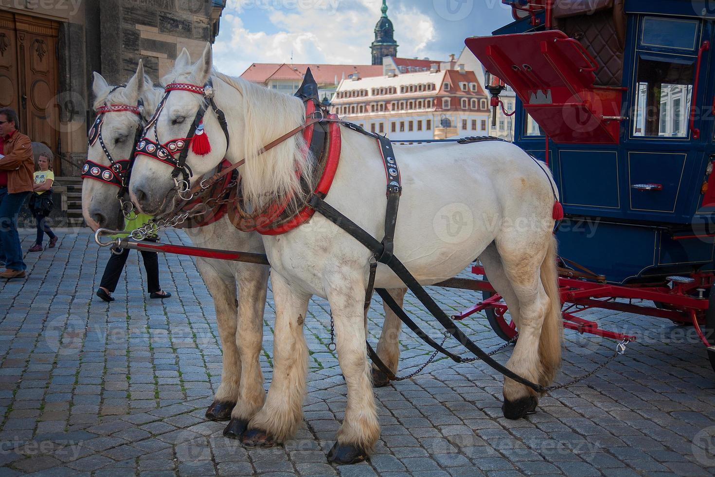 Horse carriages in Dresden, German photo