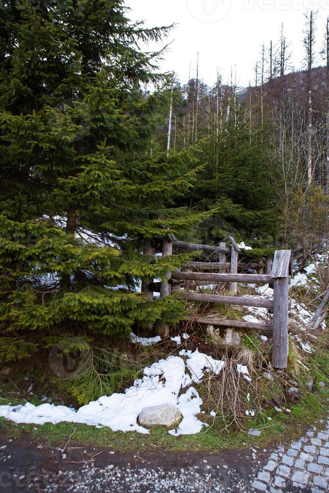 Beautiful path to the sea eye in Poland. The road to the forest. High Tatras. photo