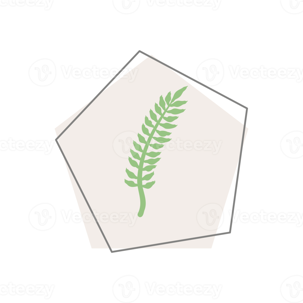 Aesthetic Leaf Organic Blobs Shape png