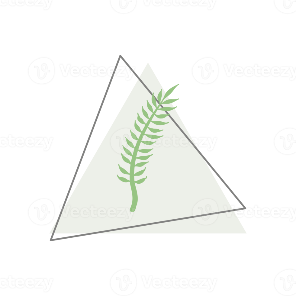 forme de gouttes organiques de feuilles esthétiques png