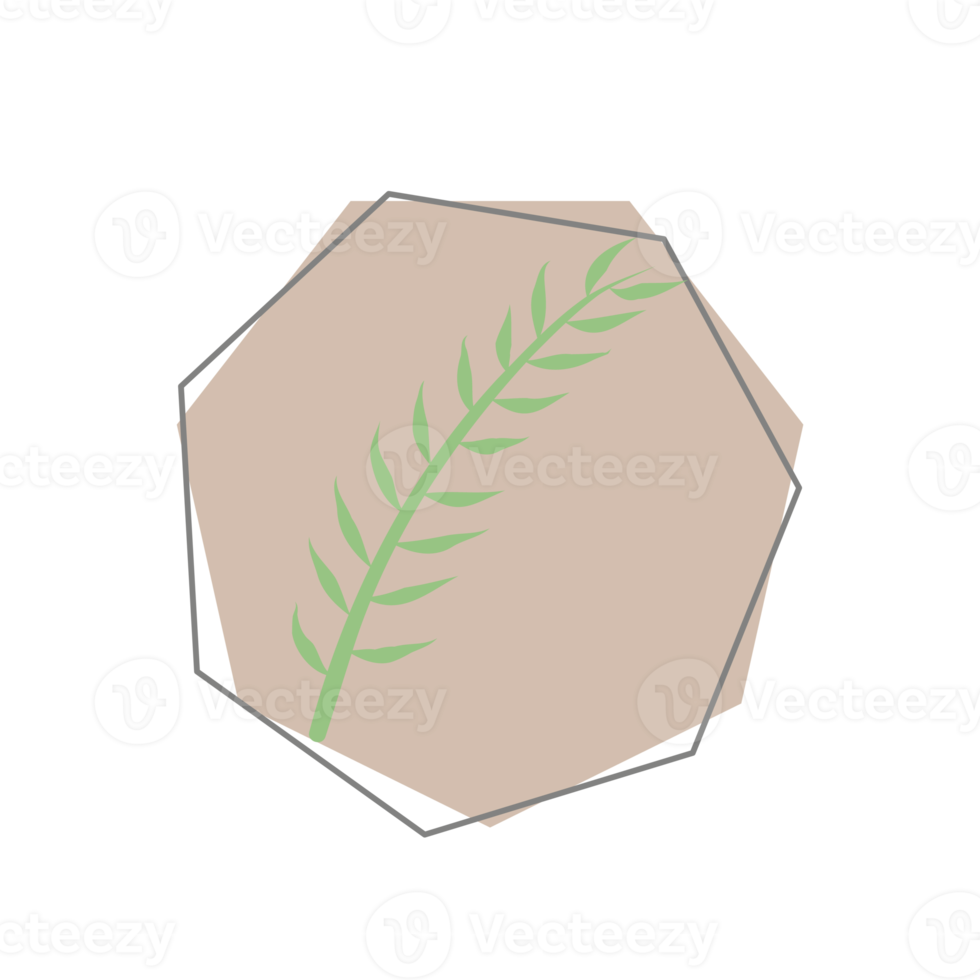 estetico foglia biologico blob forma png