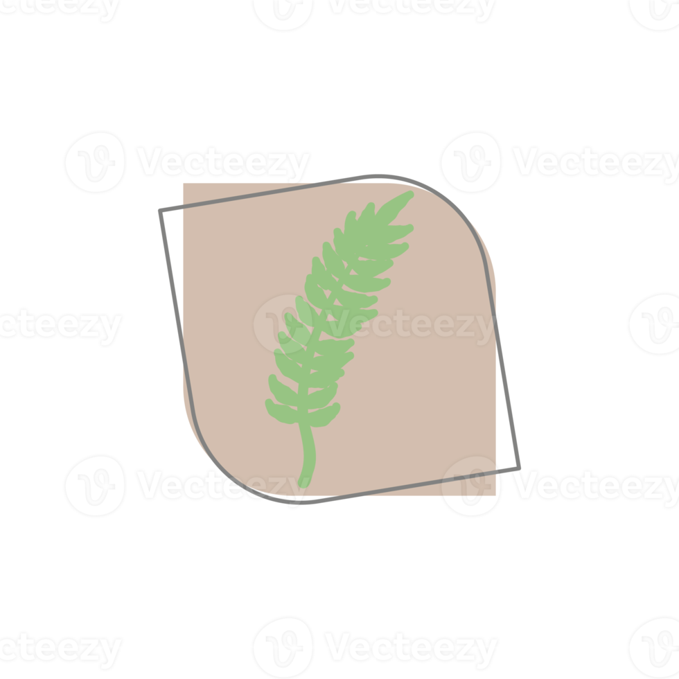 Aesthetic Leaf Organic Blobs Shape png