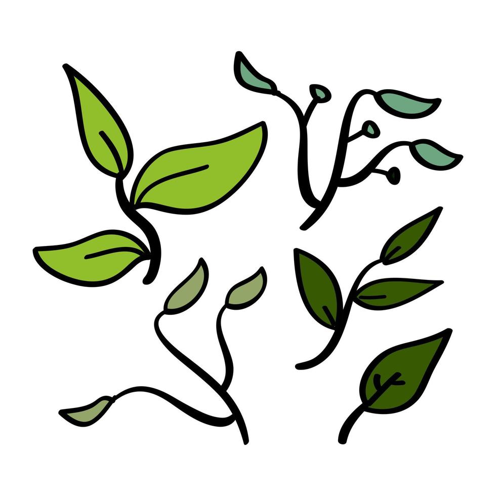 Hand drawn leaf illustration vector