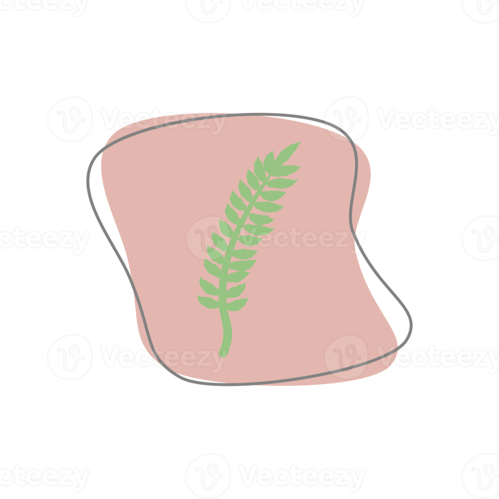 Aesthetic Leaf Organic Blobs Shape png