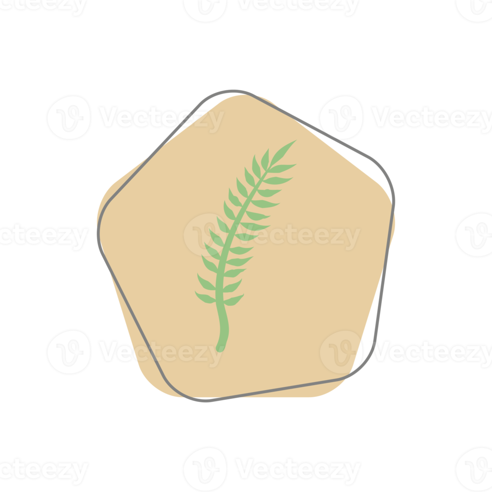 Aesthetic Leaf Organic Blobs Shape png