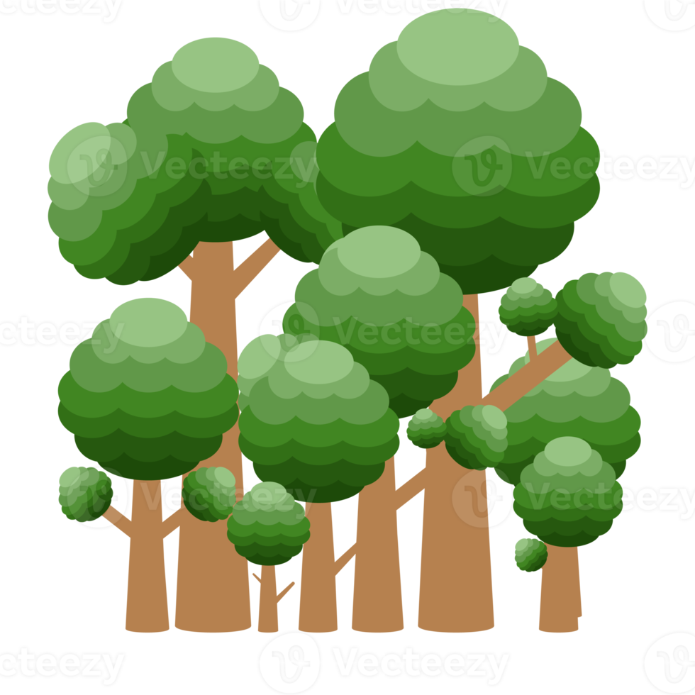 little forest realistic tree collection of different kinds shape png