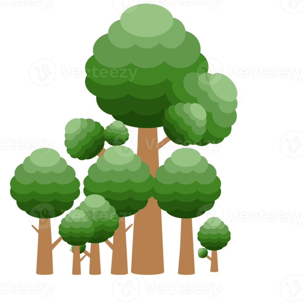 pequena coleção de árvores realistas de floresta de diferentes tipos de plantas png
