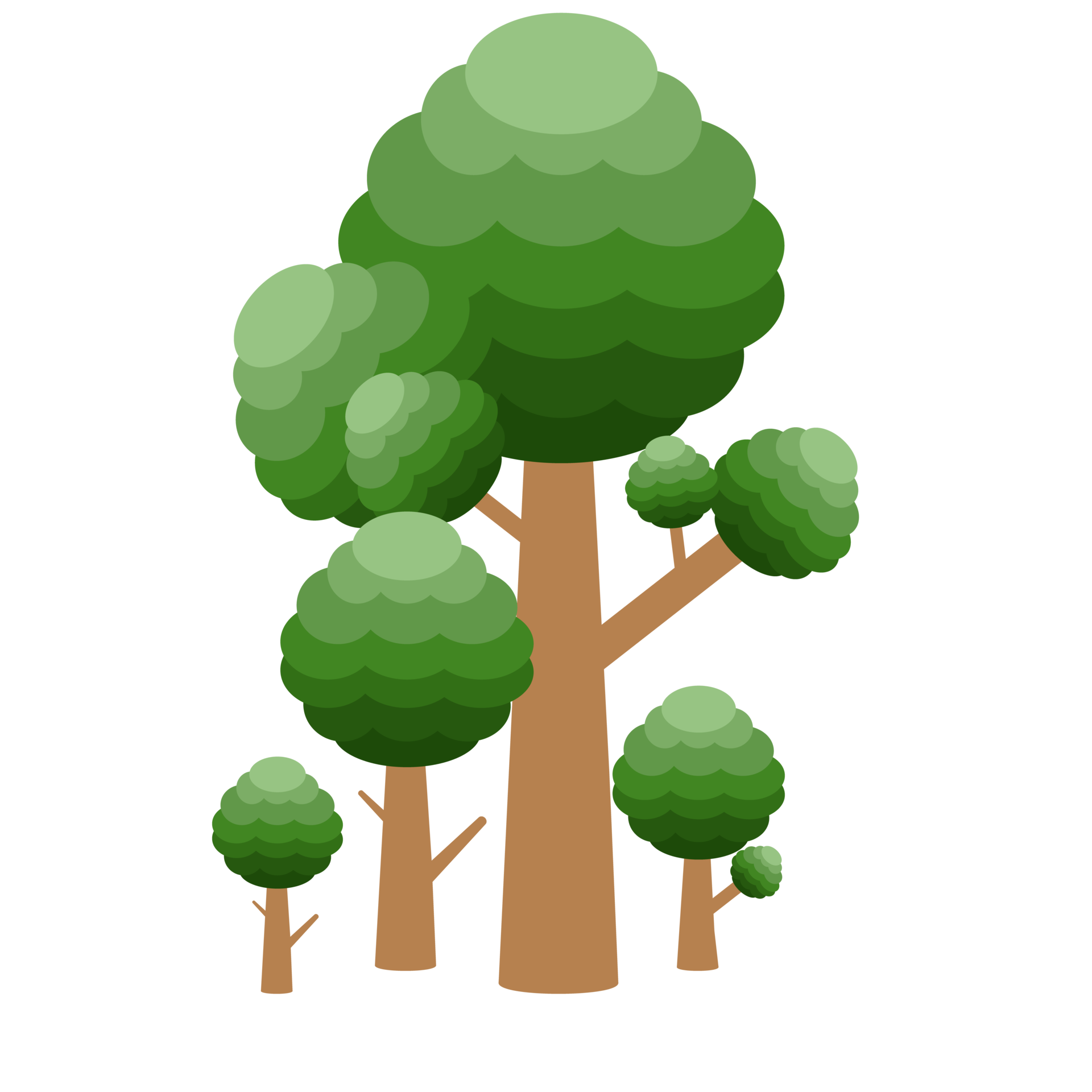 Little Forest Realistic Tree Collection of different kinds of Plant