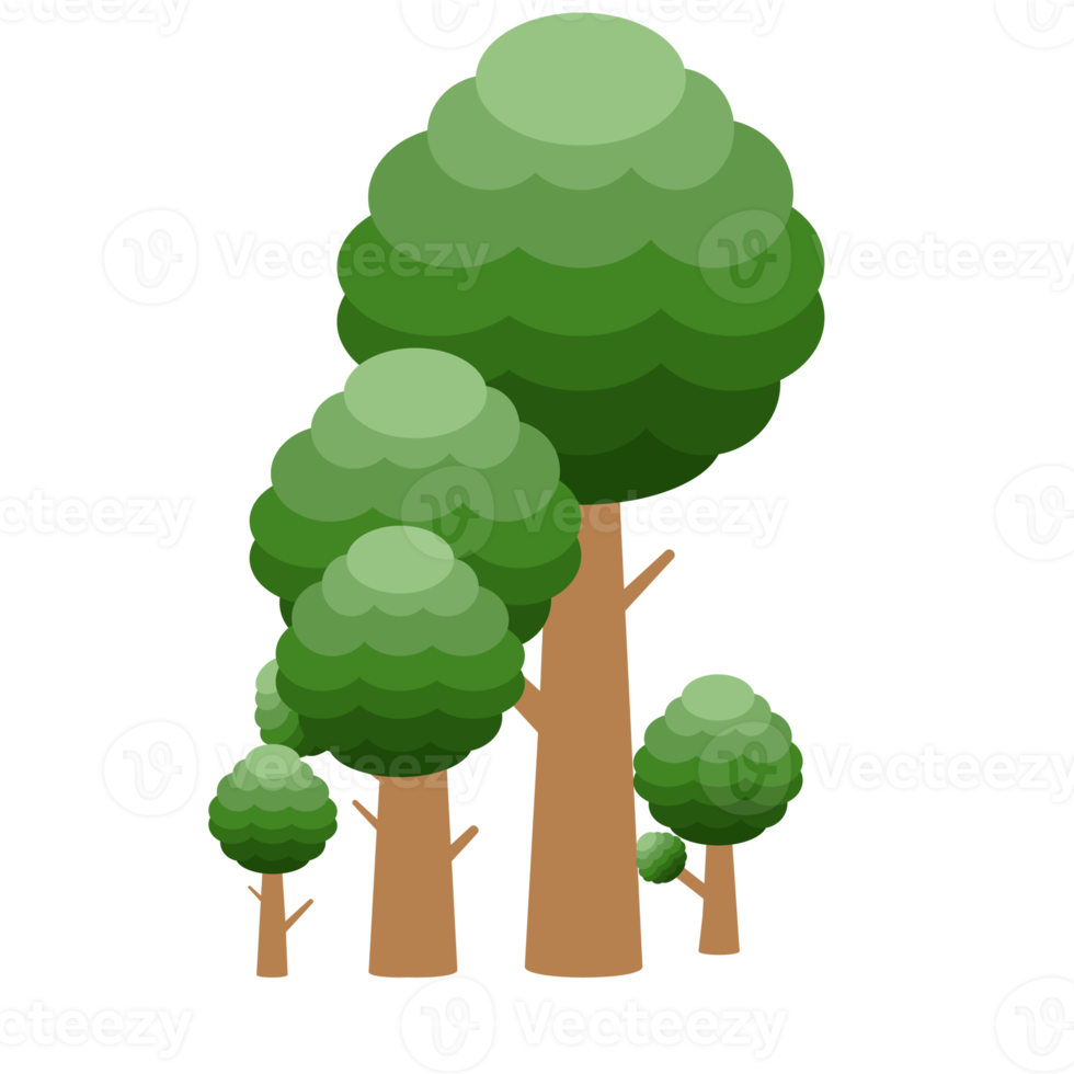 pequena coleção de árvores realistas de floresta de diferentes tipos de plantas png