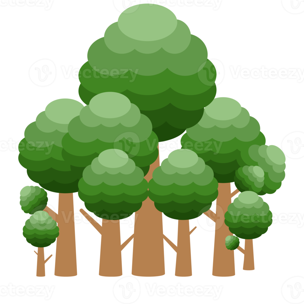 piccola foresta raccolta di alberi realistici di diversi tipi di piante png