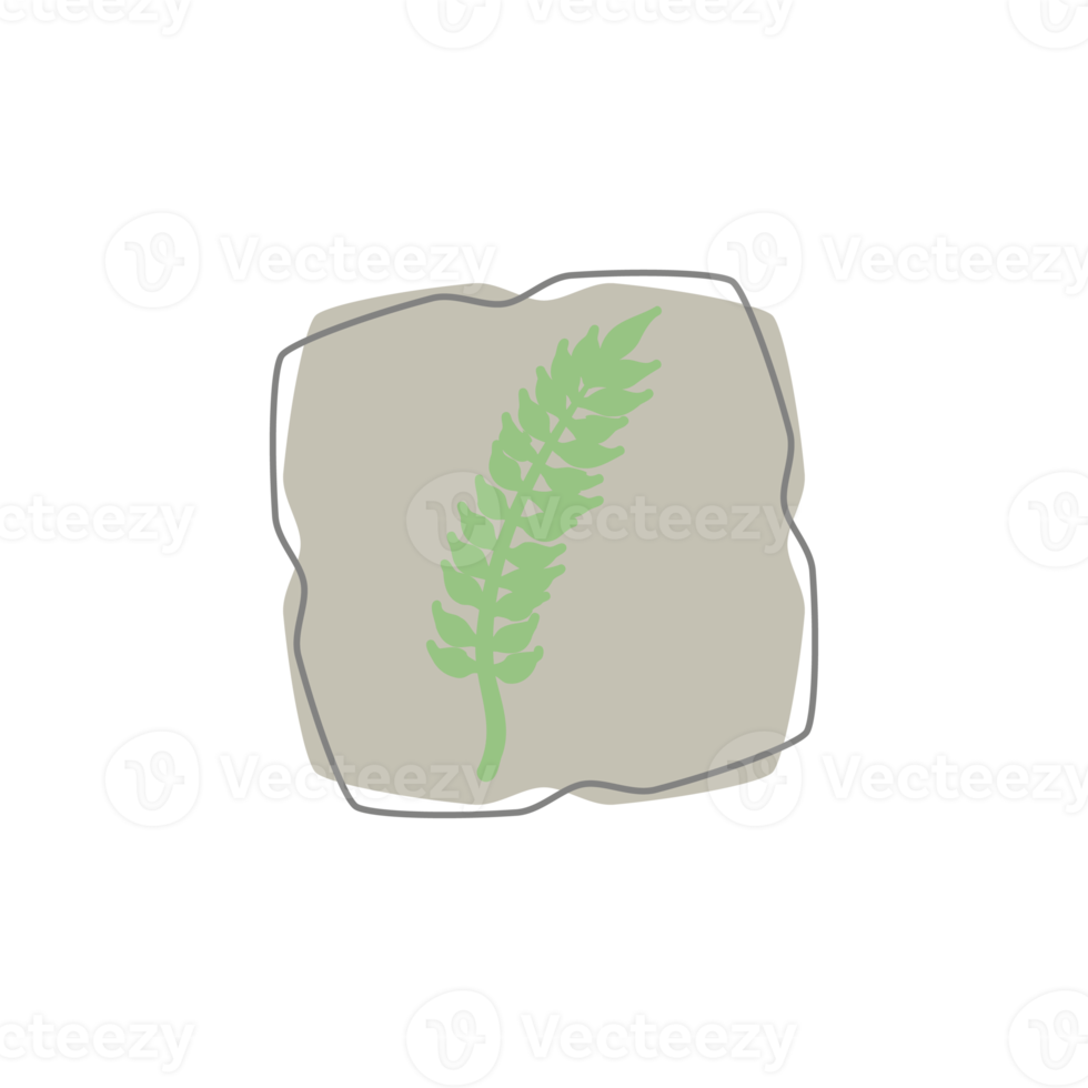 Aesthetic Leaf Organic Blobs Shape png