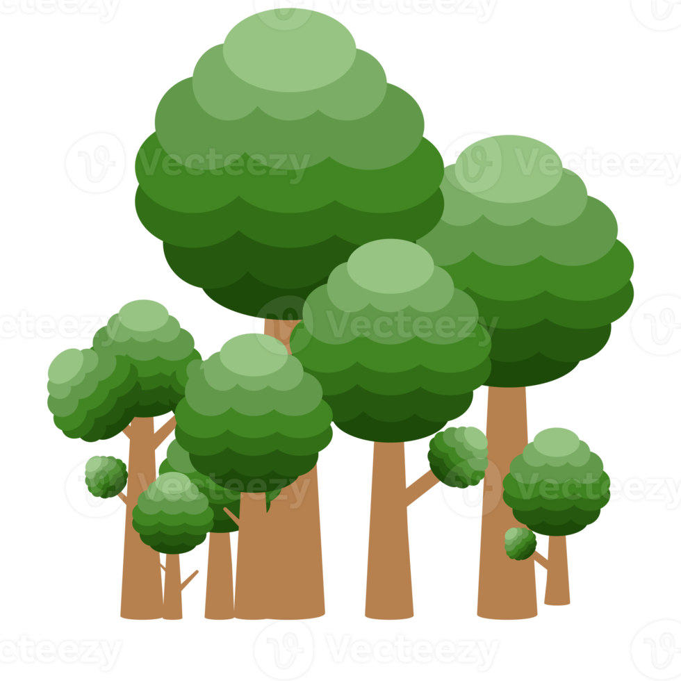 little forest realistic tree collection of different kinds shape png