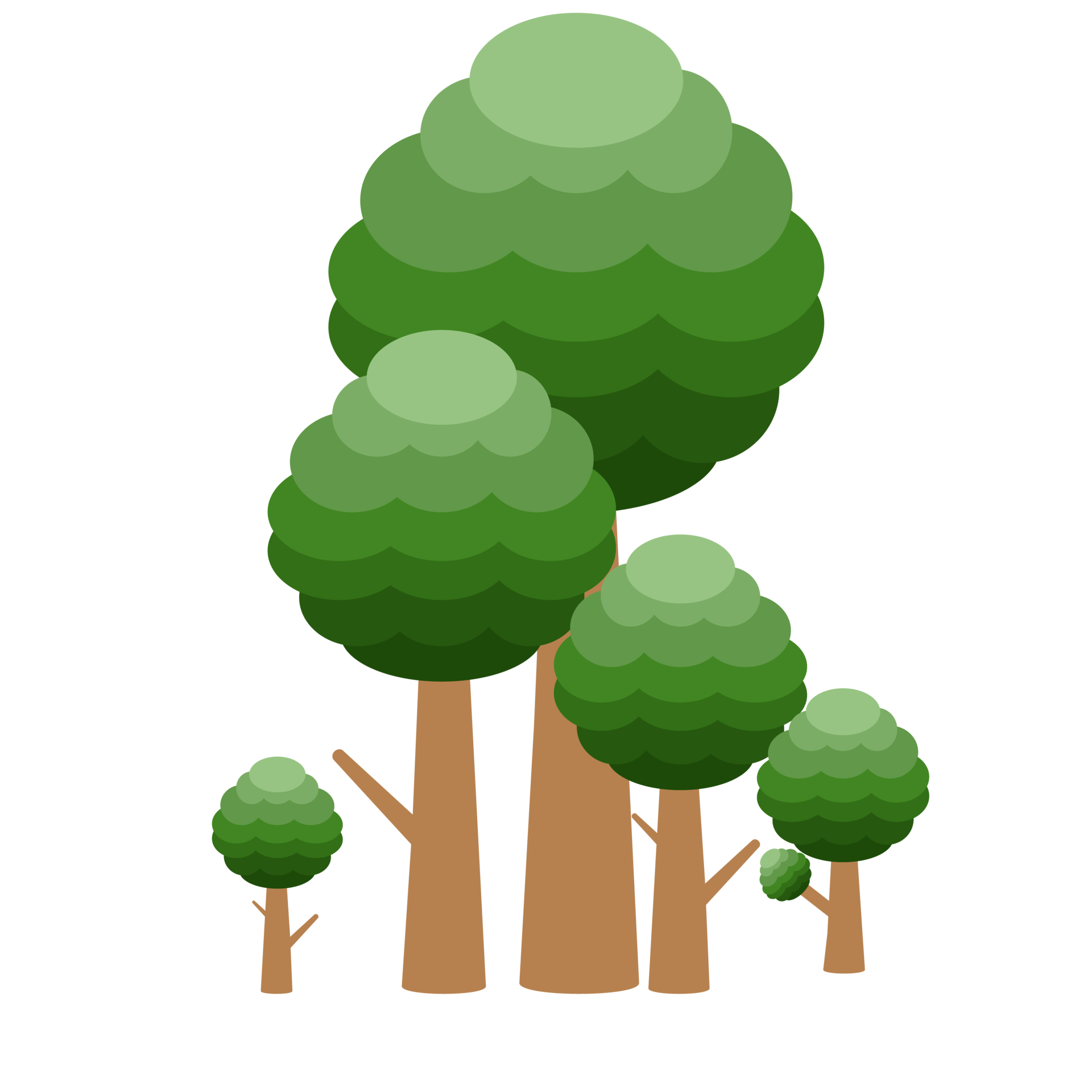 Little Forest Realistic Tree Collection of different kinds of Plant