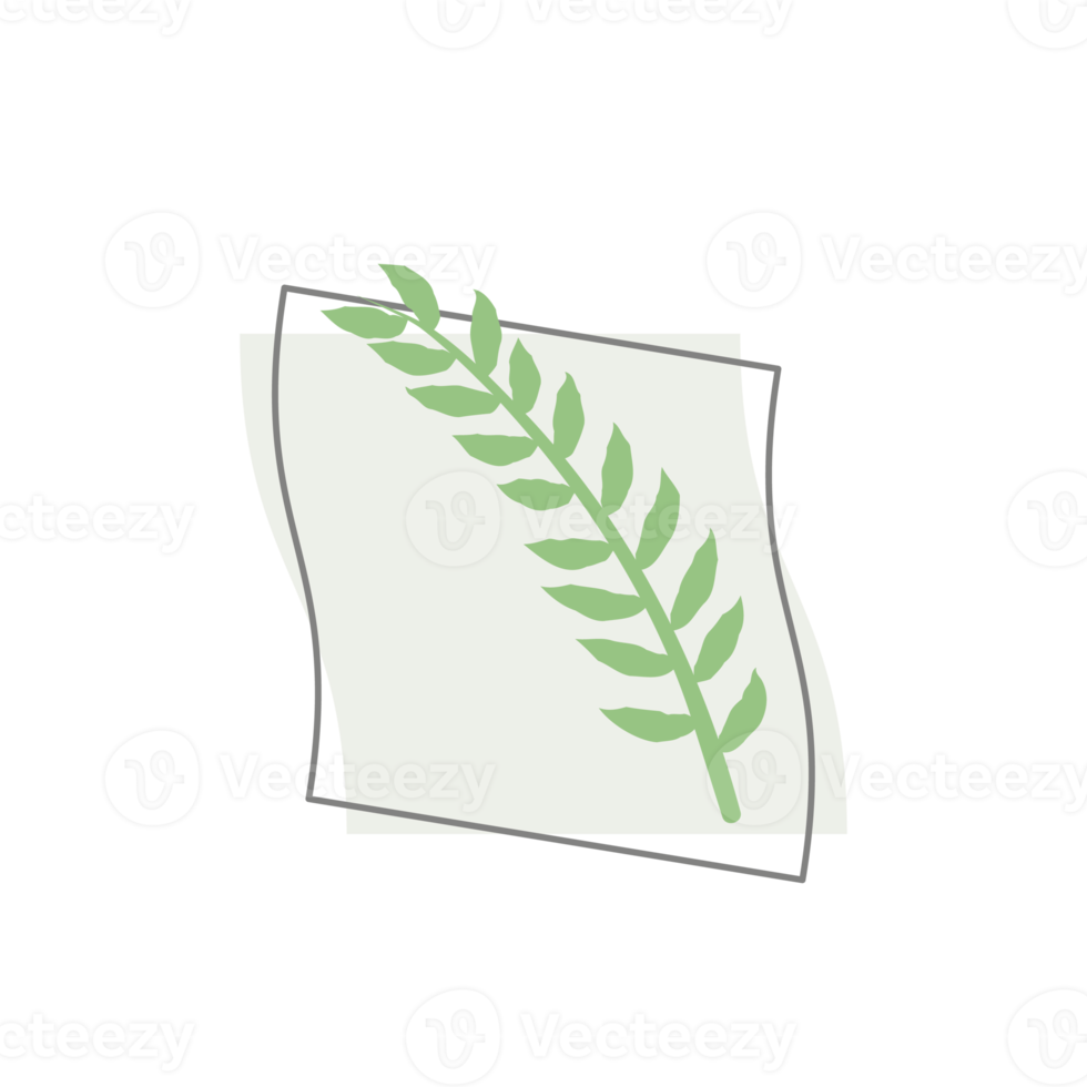 Aesthetic Leaf Organic Blobs Shape png