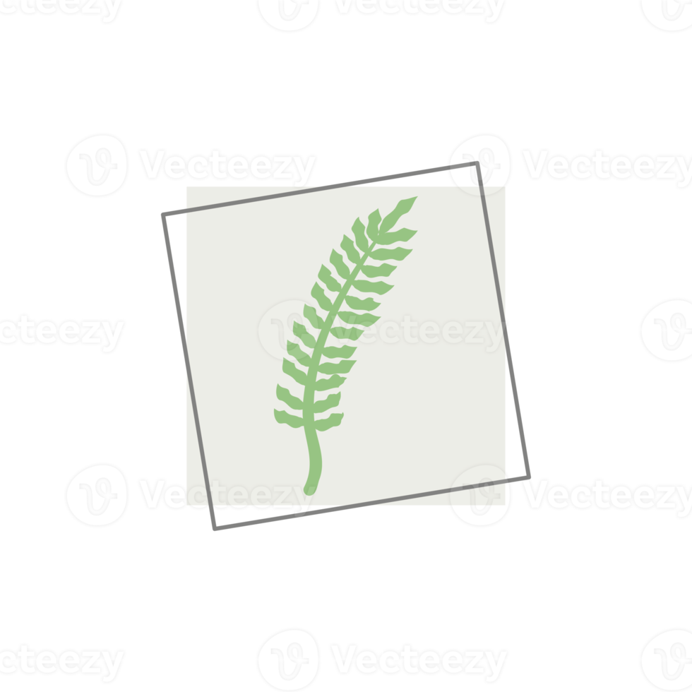 Aesthetic Leaf Organic Blobs Shape png