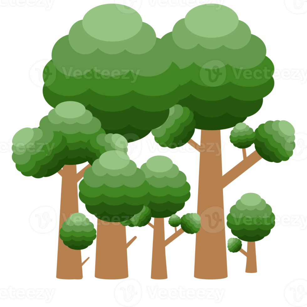 coleção de árvore realista de pequena floresta de diferentes tipos de forma png