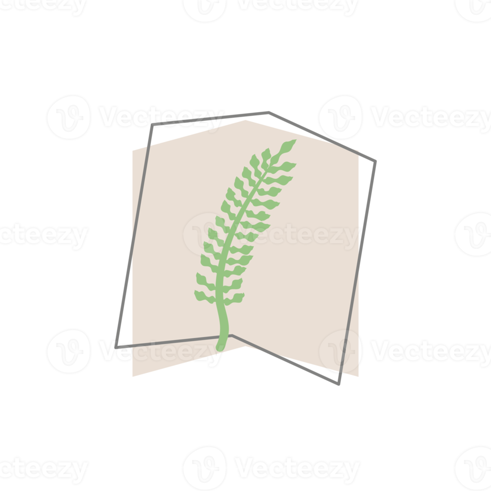 Aesthetic Leaf Organic Blobs Shape png