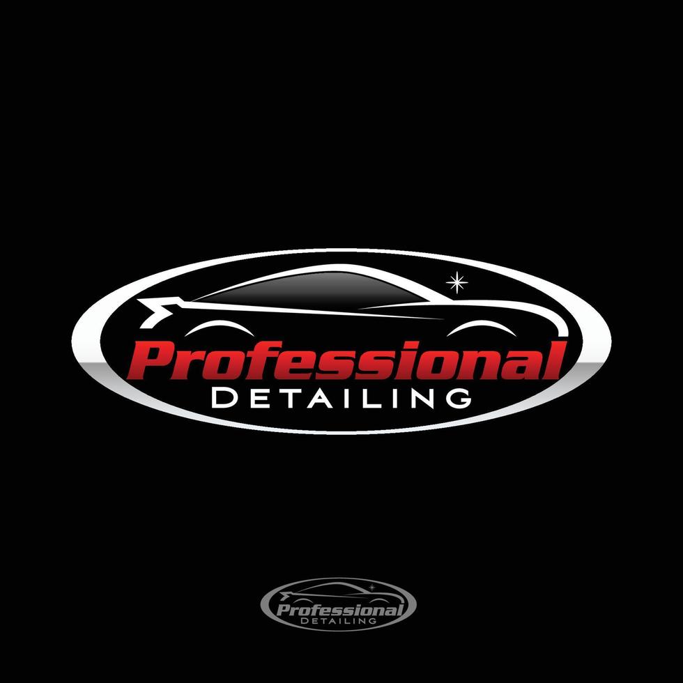 Professional detailing logo design template vector