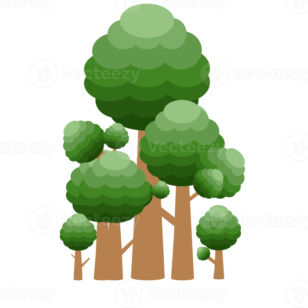 pequena coleção de árvores realistas de floresta de diferentes tipos de plantas png