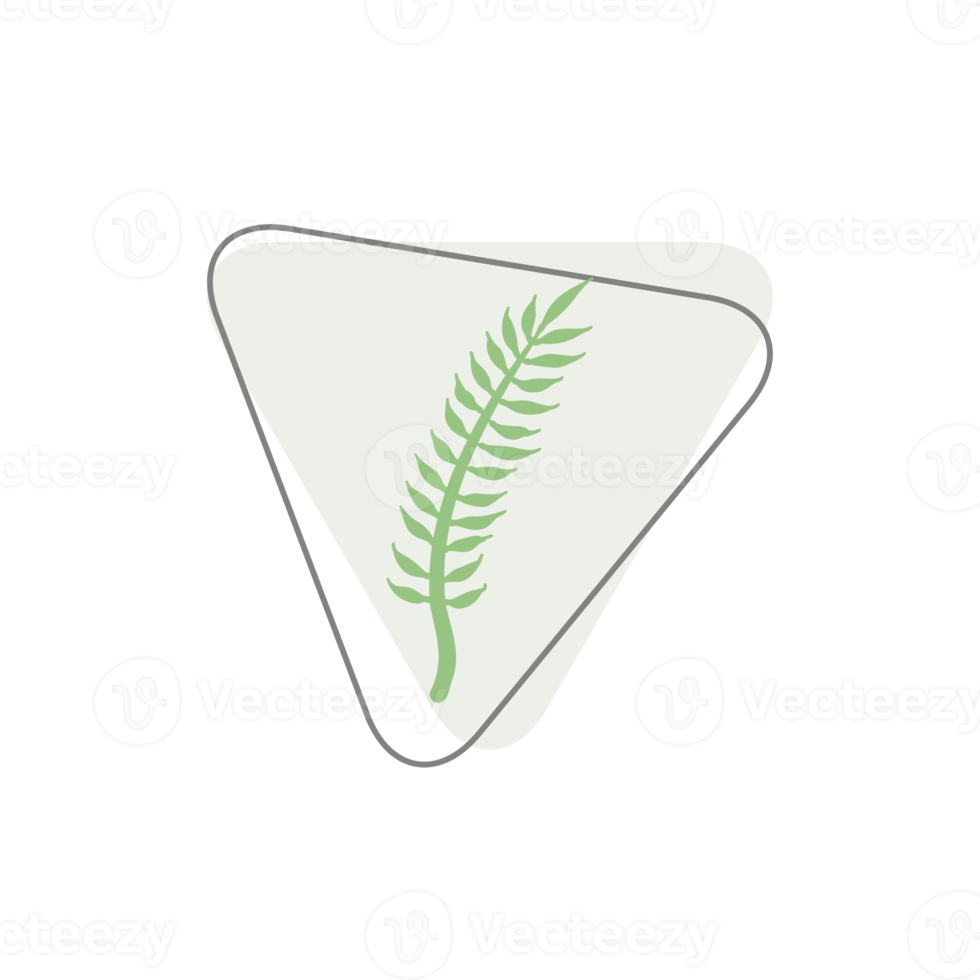 Aesthetic Leaf Organic Blobs Shape png
