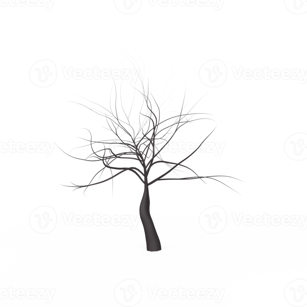 racines d'arbres isolées sur transparent png