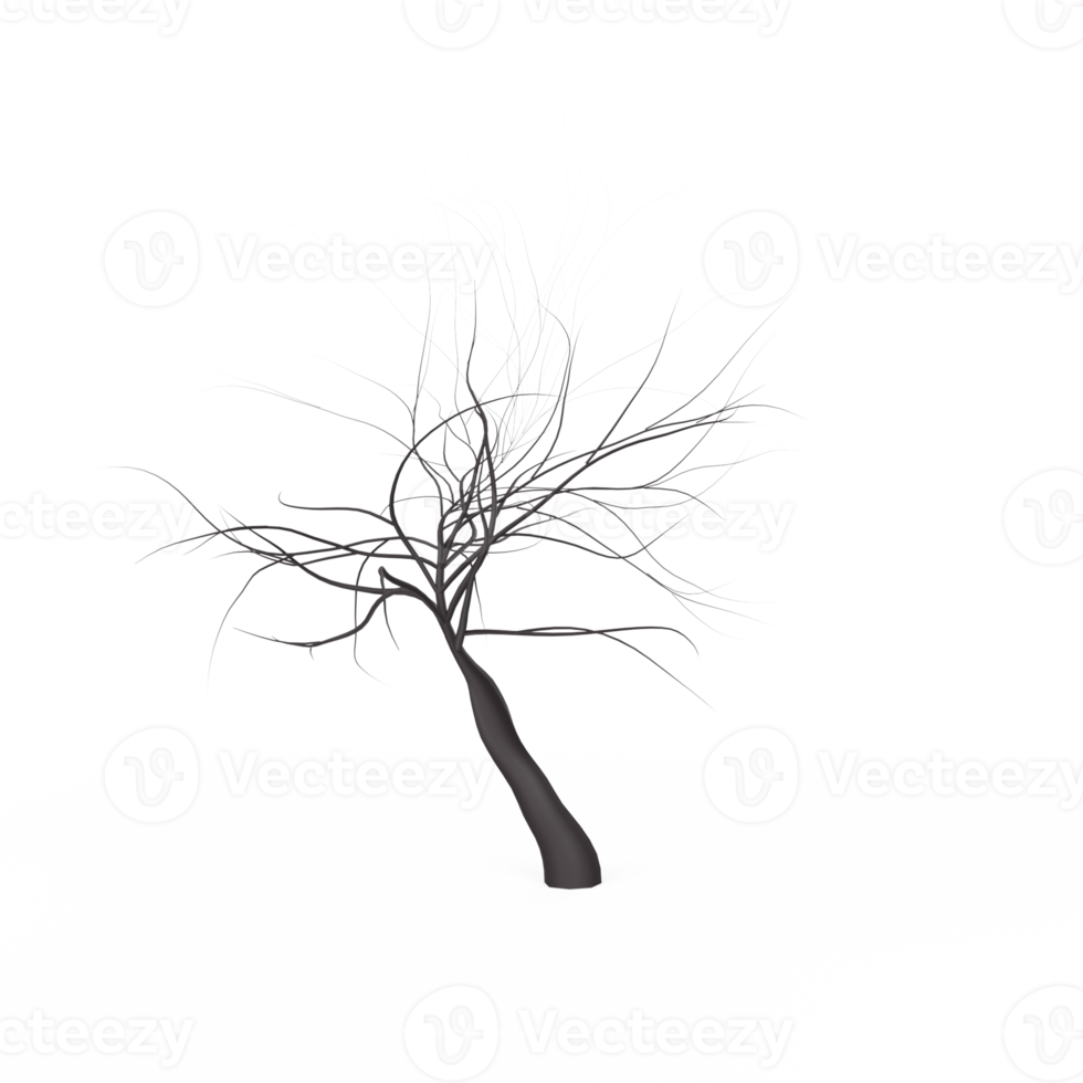 boom wortels geïsoleerd Aan transparant png