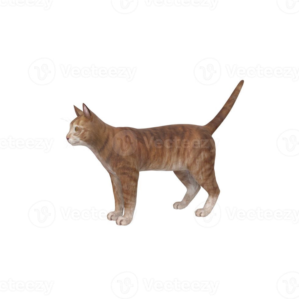 cat animal on transparent png