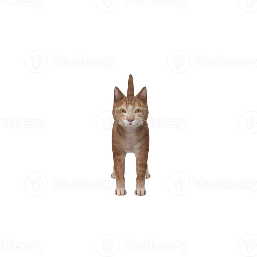 gatto animale su trasparente png