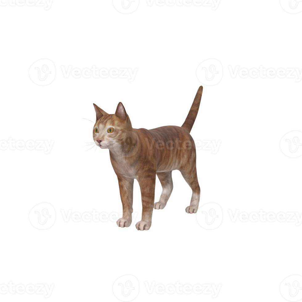 gatto animale su trasparente png