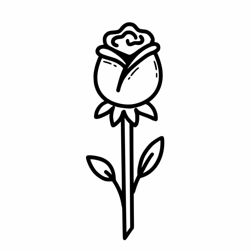 rosa. hermosa flor. ilustración de garabatos vectoriales. bosquejo. vector