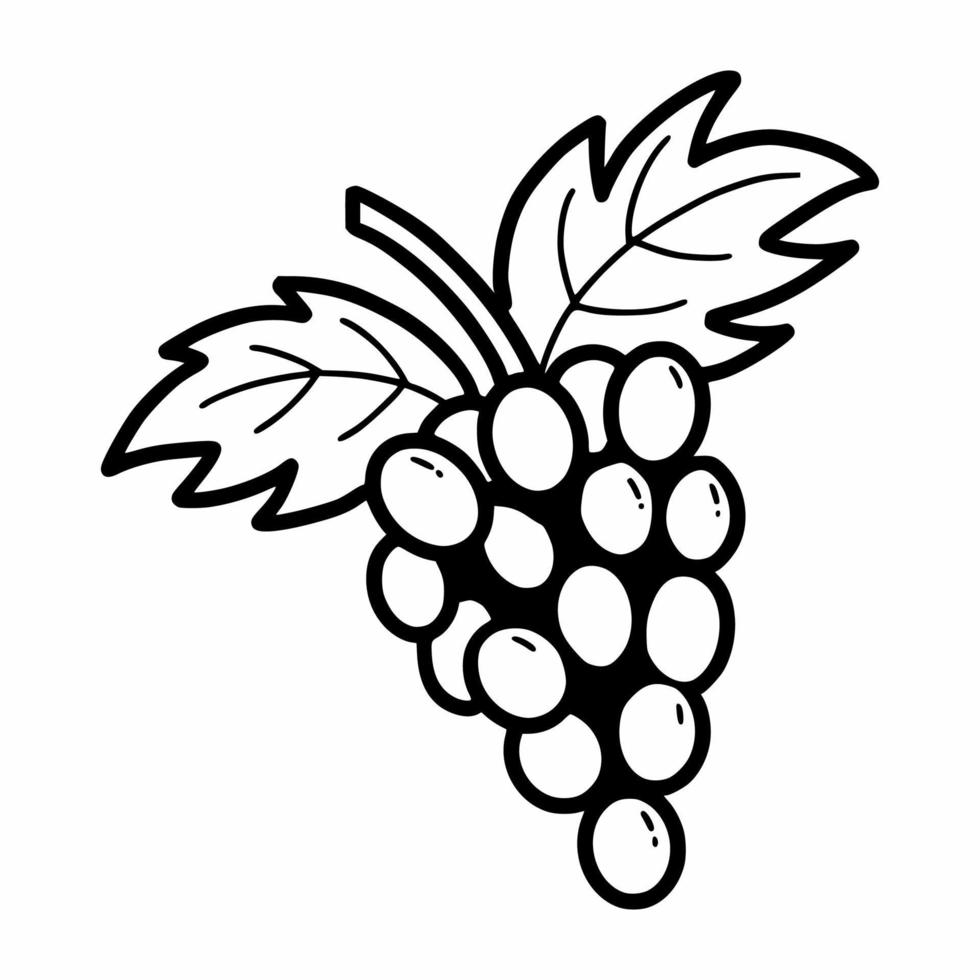 Grape. Hand drawn black and white sketch. Vector doodle illustration