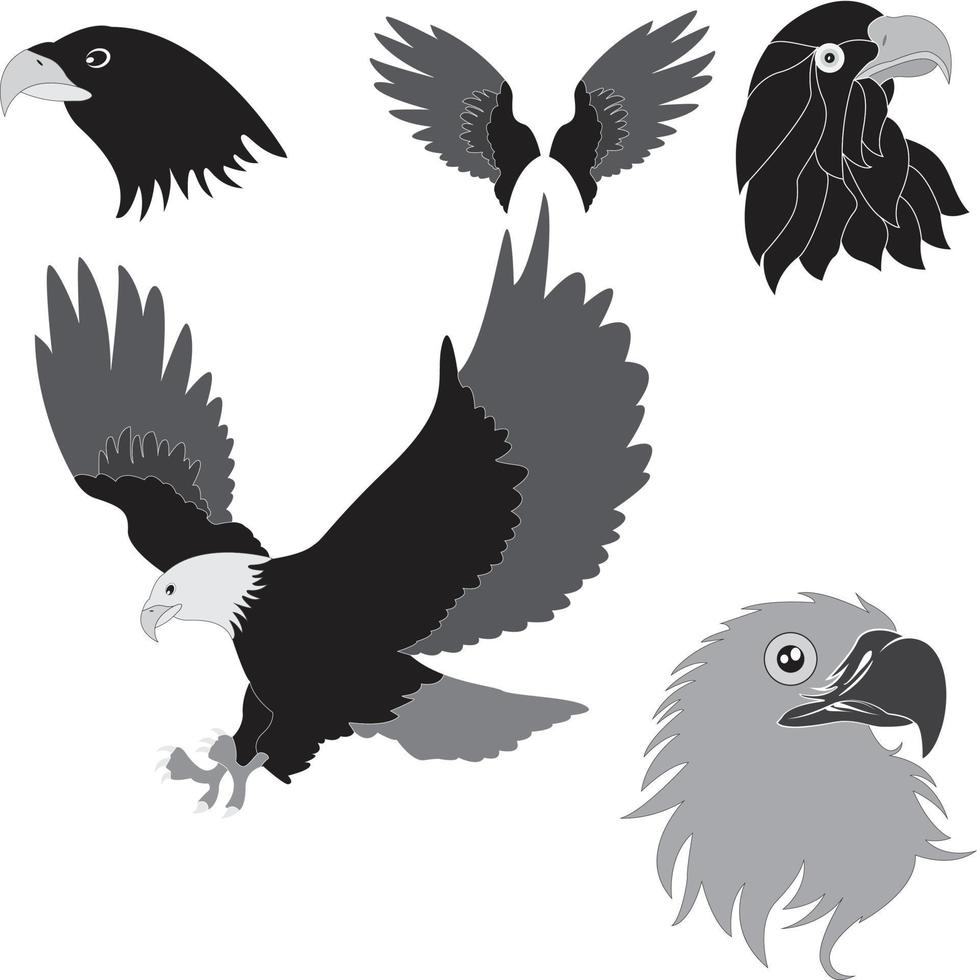 siluetas de águila aisladas en blanco vector