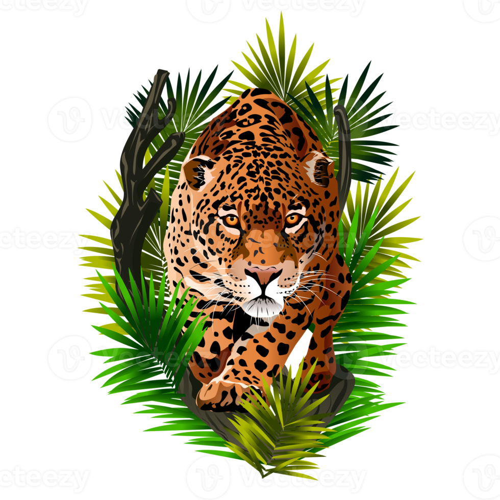 imagen de jaguar en la selva. leopardo de mirada feroz. nacido salvaje. ilustración de muchos colores. guepardo en la selva png