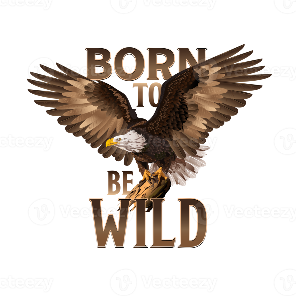 Eagle illustration, can be used for mascot, logo, tattoo, clothing and more. Born to be Wild. American bald eagle. png