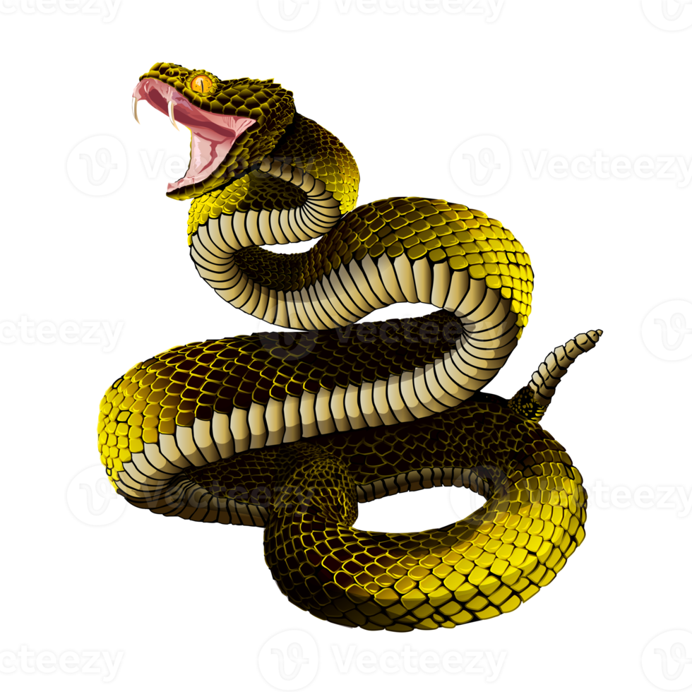 serpiente en forma de serpiente png