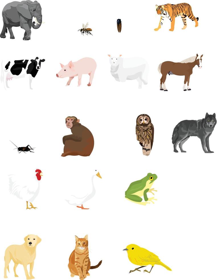 selection of wild animals illustration vector