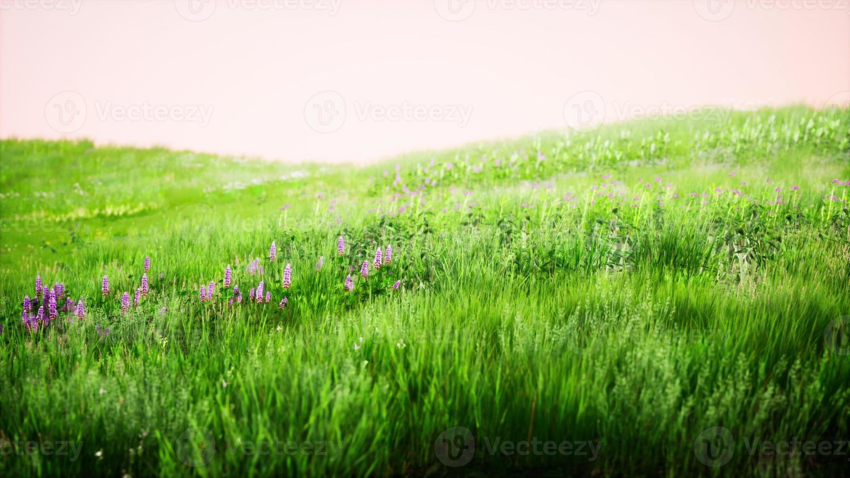 Green Grass Landscape with Hills and Blue Sky photo