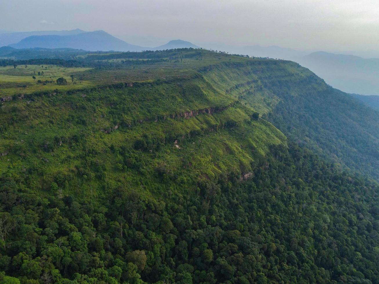 árbol forestal de vista superior aérea, acantilado grande en la montaña en el ecosistema de la selva tropical asiática y concepto y fondo de ambiente saludable, textura de la vista del bosque de árboles verdes desde arriba foto