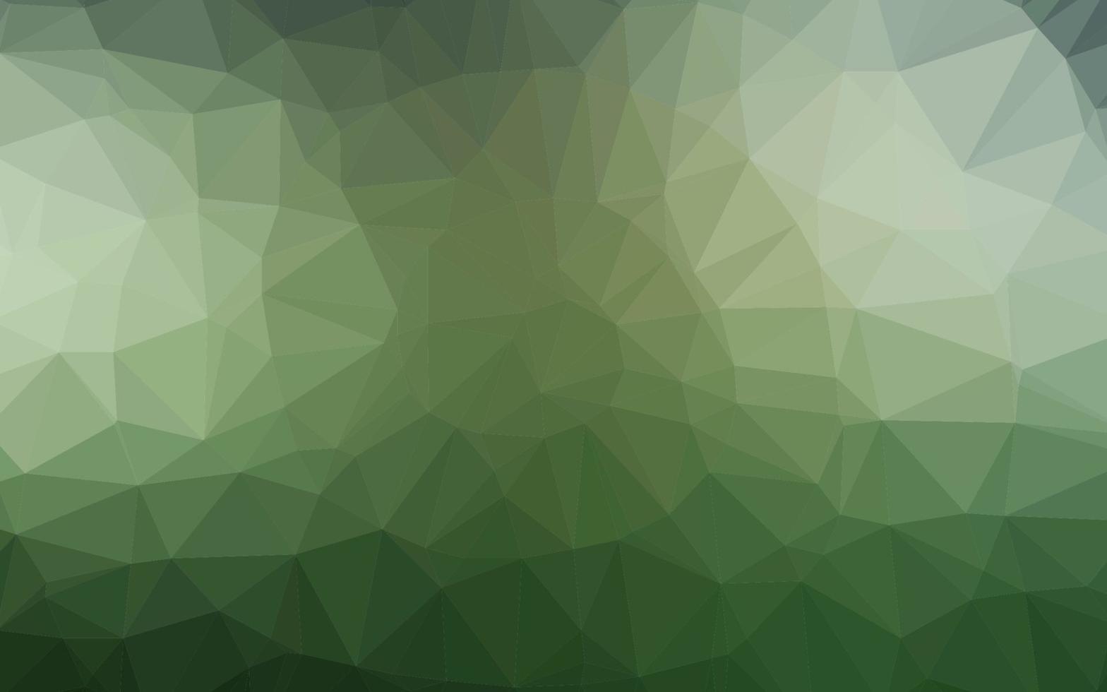 Light Green vector polygonal pattern.