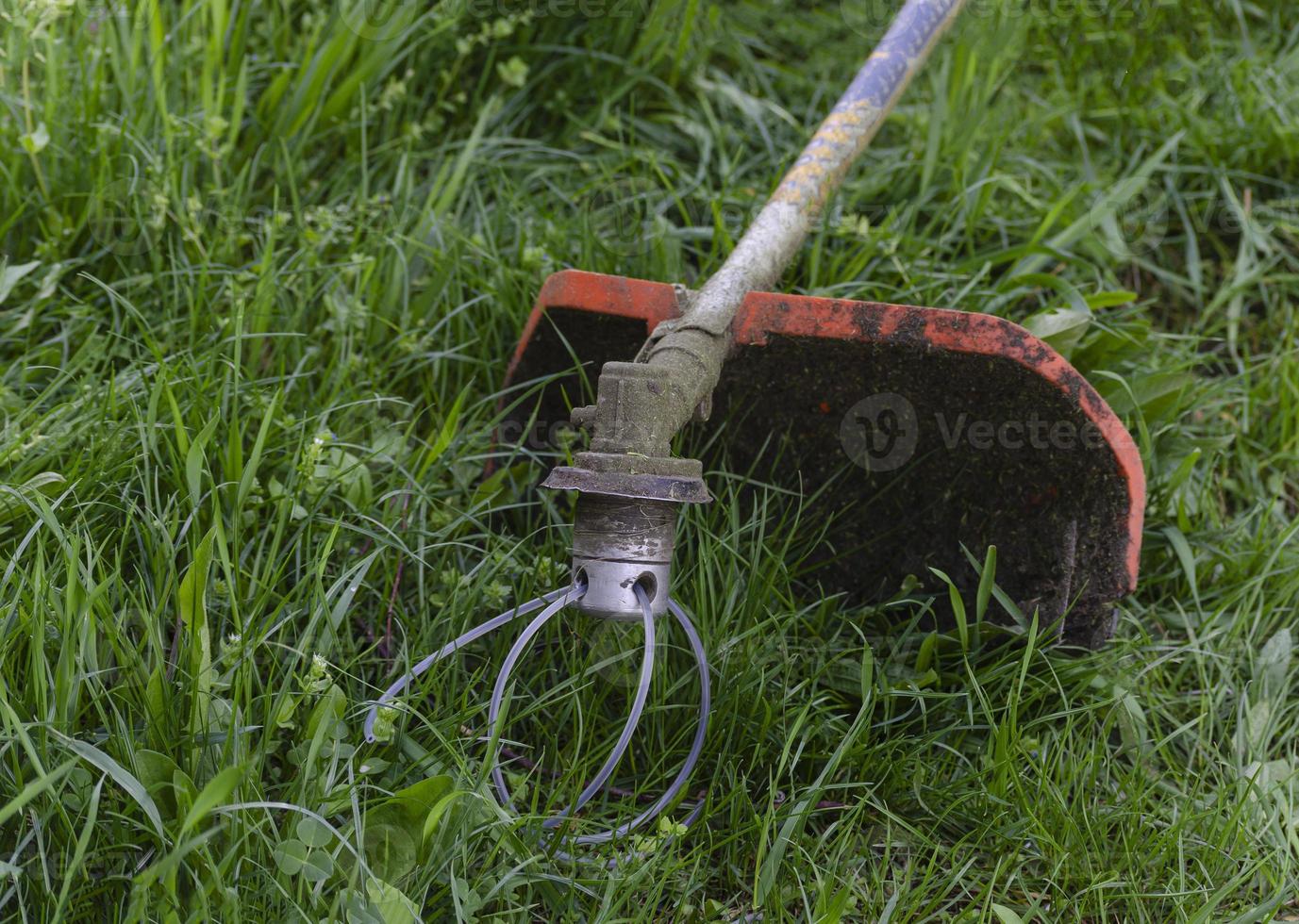 Replacing the fishing line in a lawn mower with tools photo